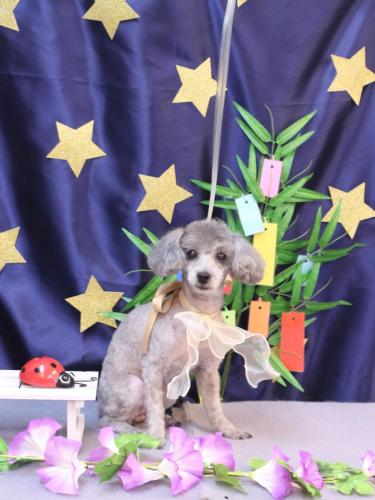 20230712るあてぃちゃん